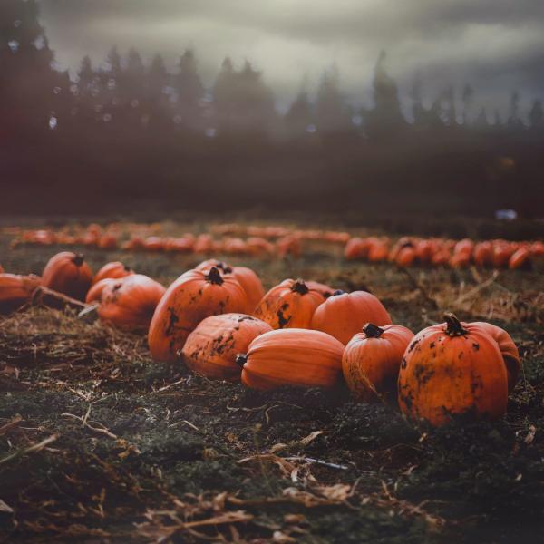Have a Green Halloween - from costumes to decoration ideas!
