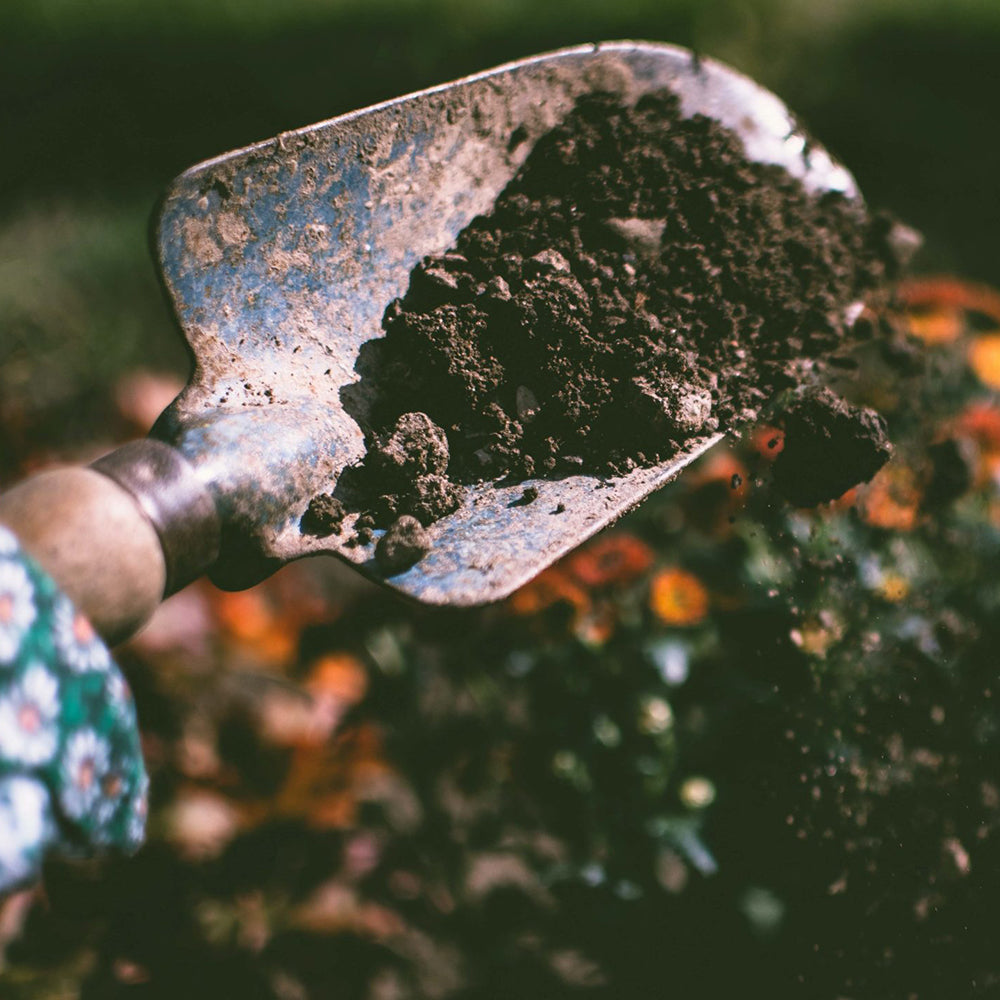 Composting At Home - Everything You Need To Know
