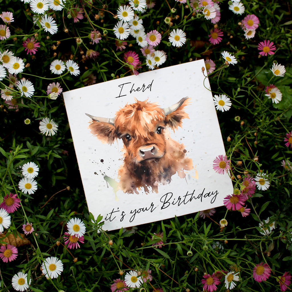 Greeting Cards & Accessories