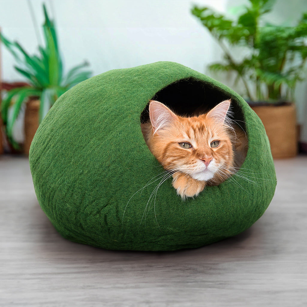 Other Pet Accessories