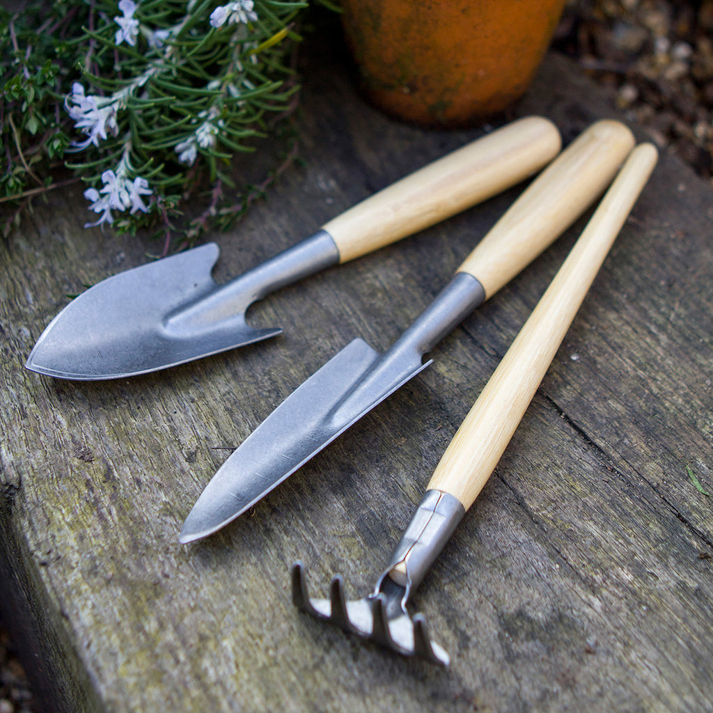 three plastic free gardening tools outside