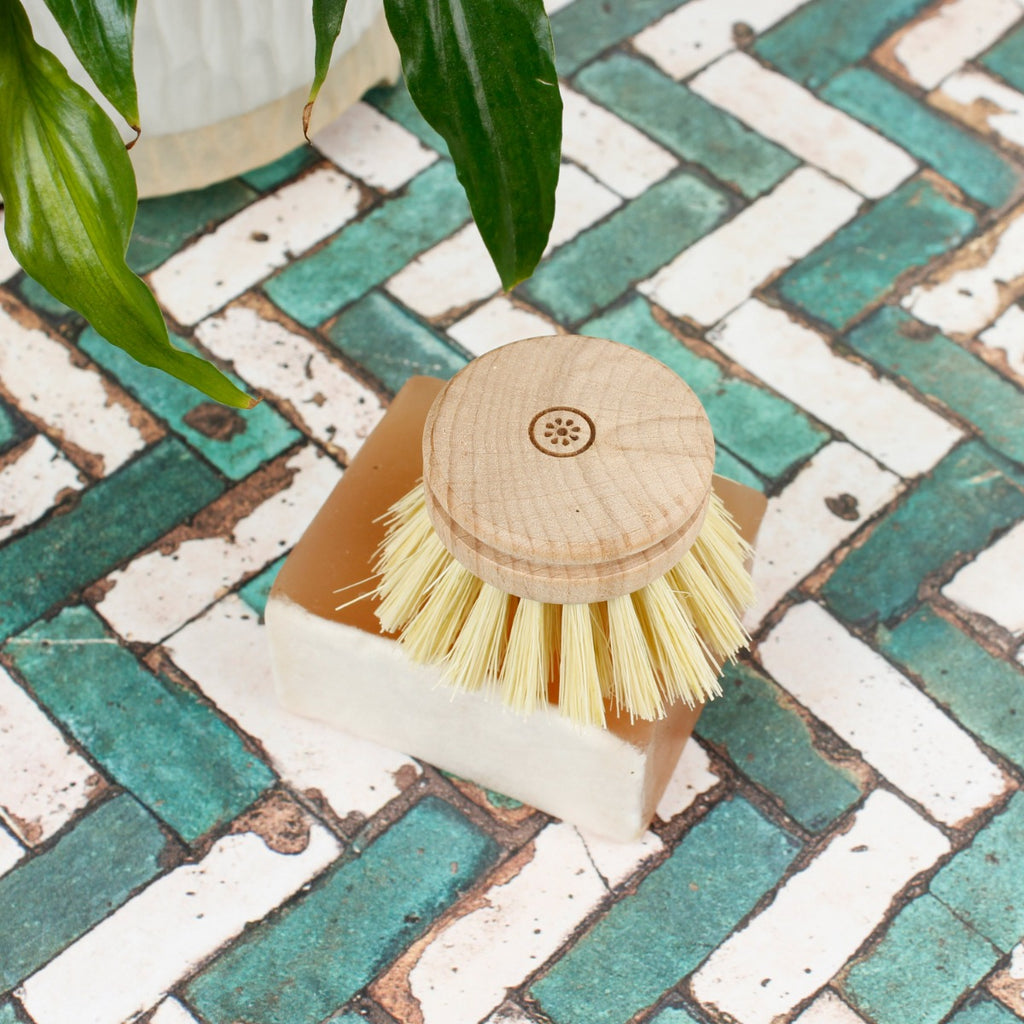 Wooden dish brush head resting on a soap bar with green plant on a colourful tiled surface