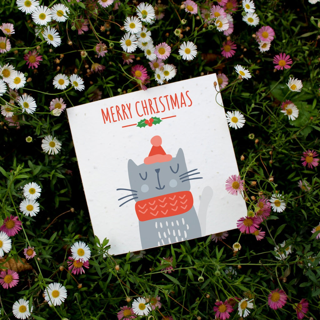  with cute festive cat on front