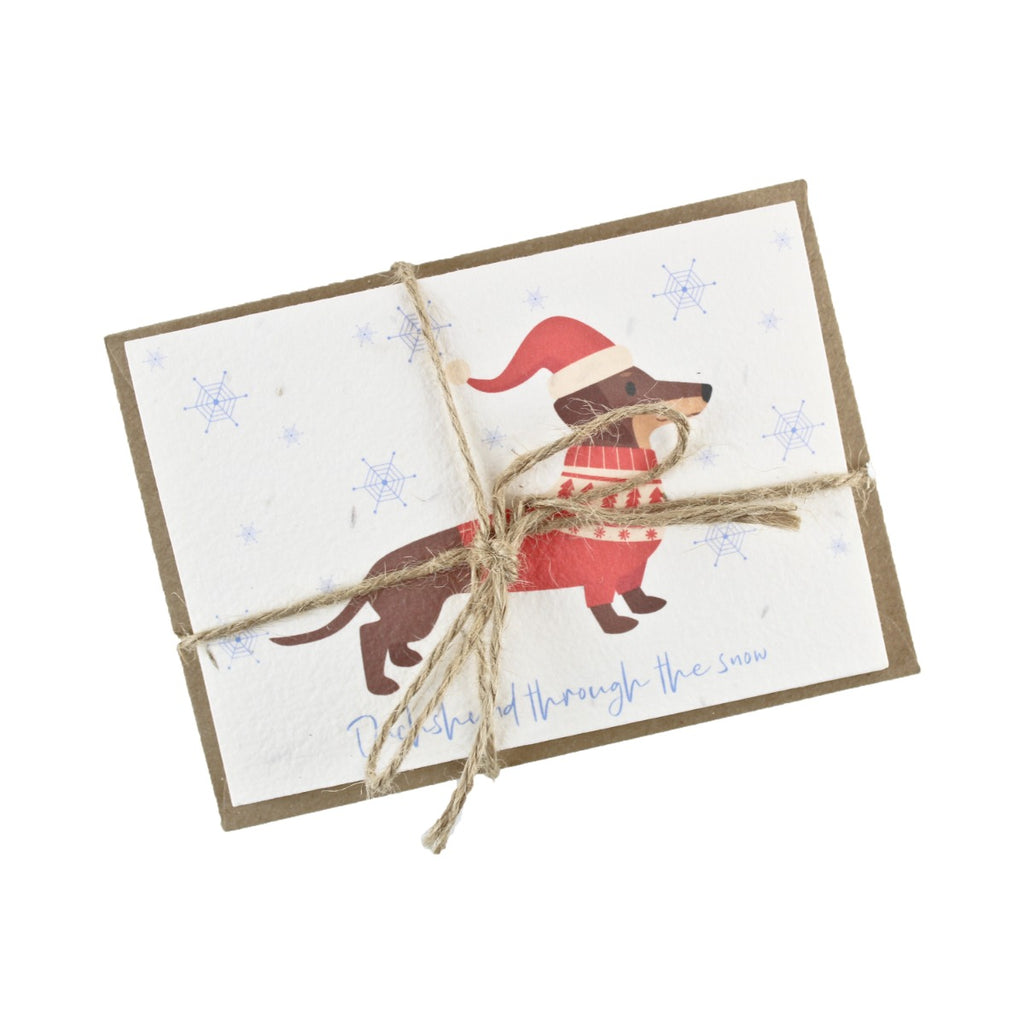 Dog Christmas card made from seeded paper