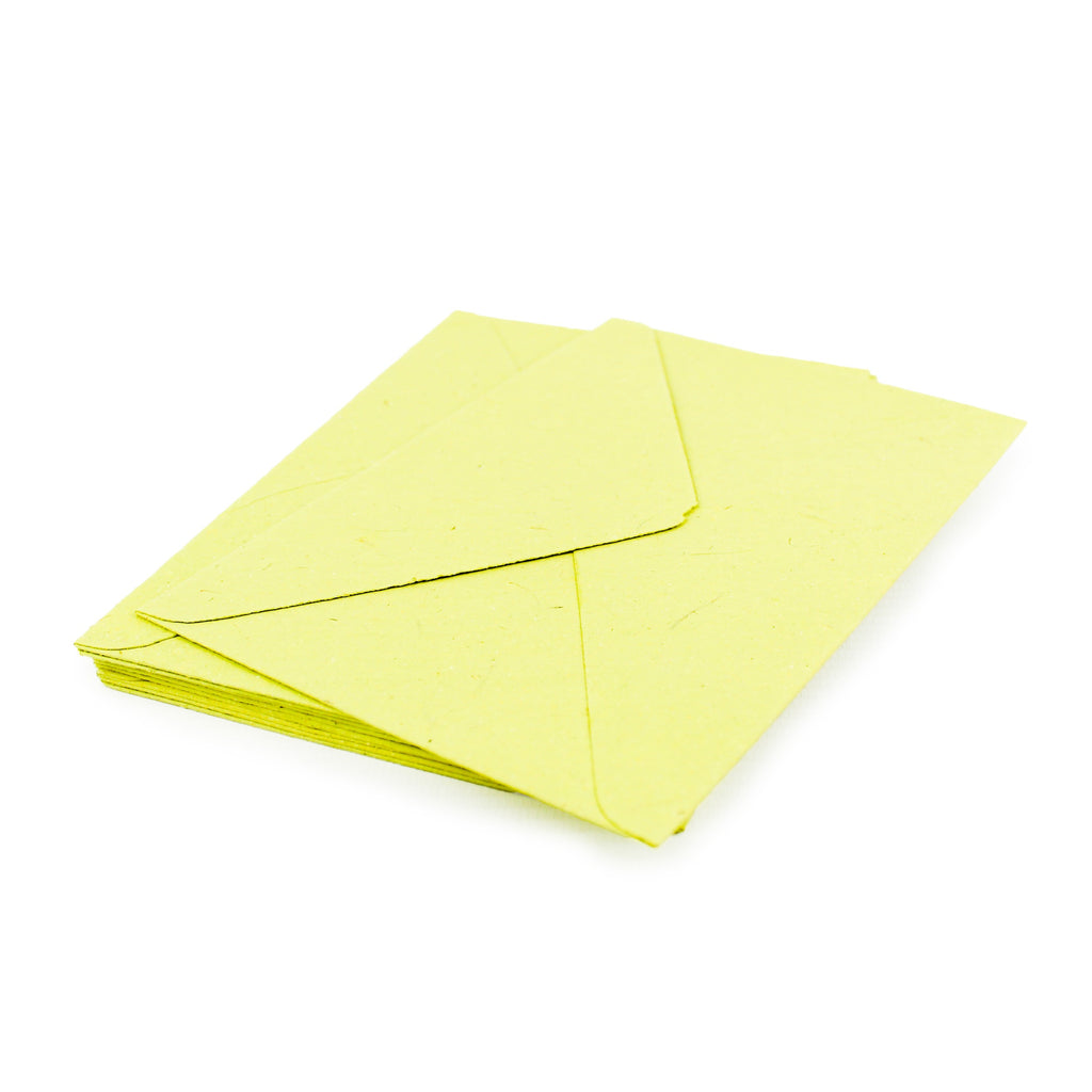 Card envelopes made from elephant dung
