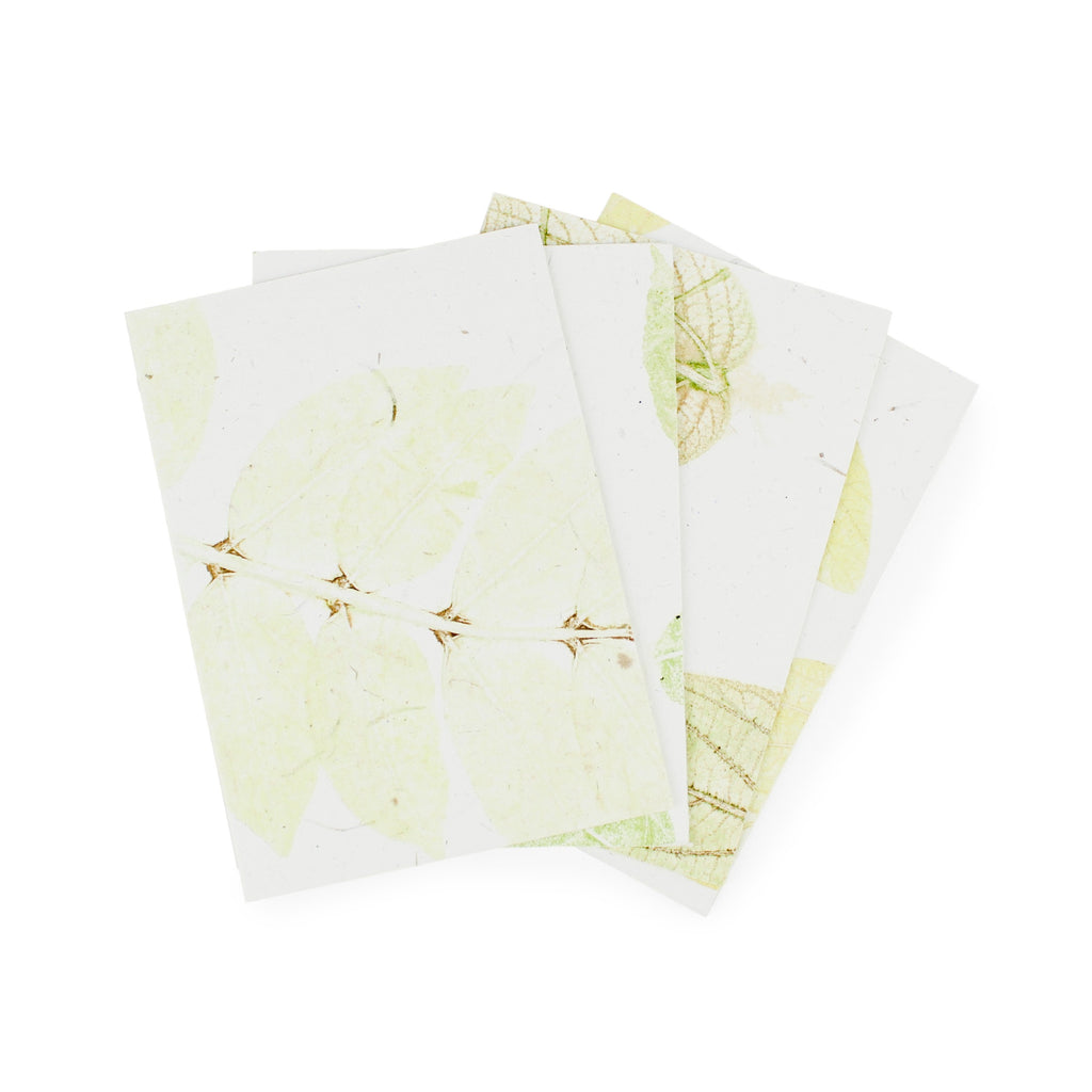 Pack of 4 greeting cards made from elephant dung