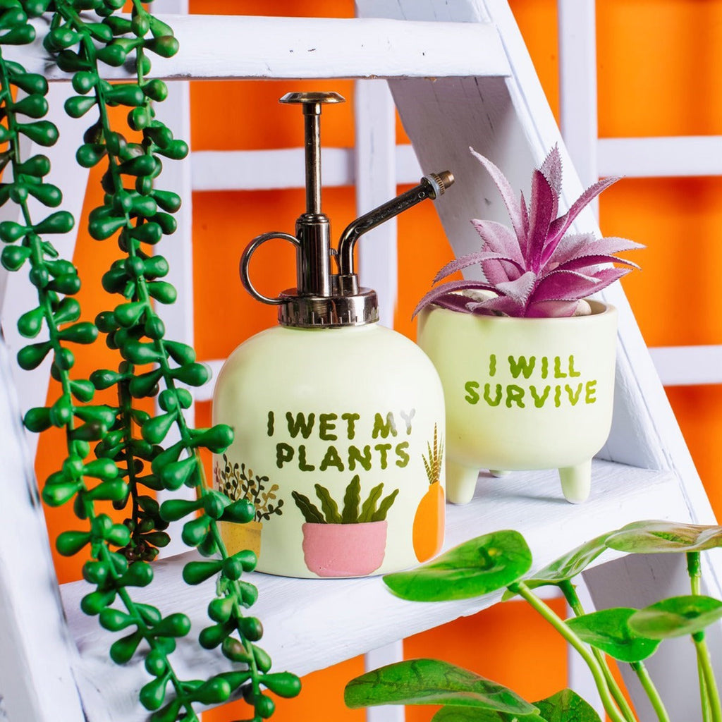 a plant mister and plant pot on ladder shelf with hanging plants on orange background
