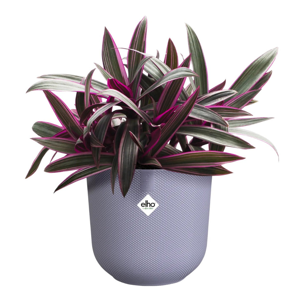  with a purple textured finish