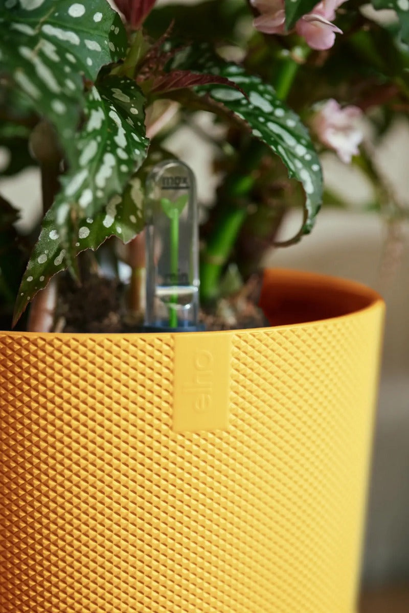 large yellow plant pot uk Elho Amber Yellow Jazz Round Recycled Plastic Plant Pot