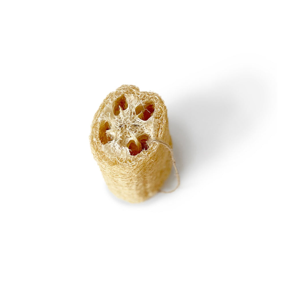 Natural material sponge for skin