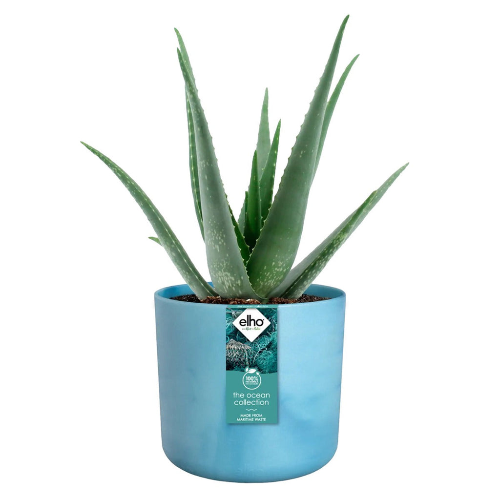  made from recycled ocean waste