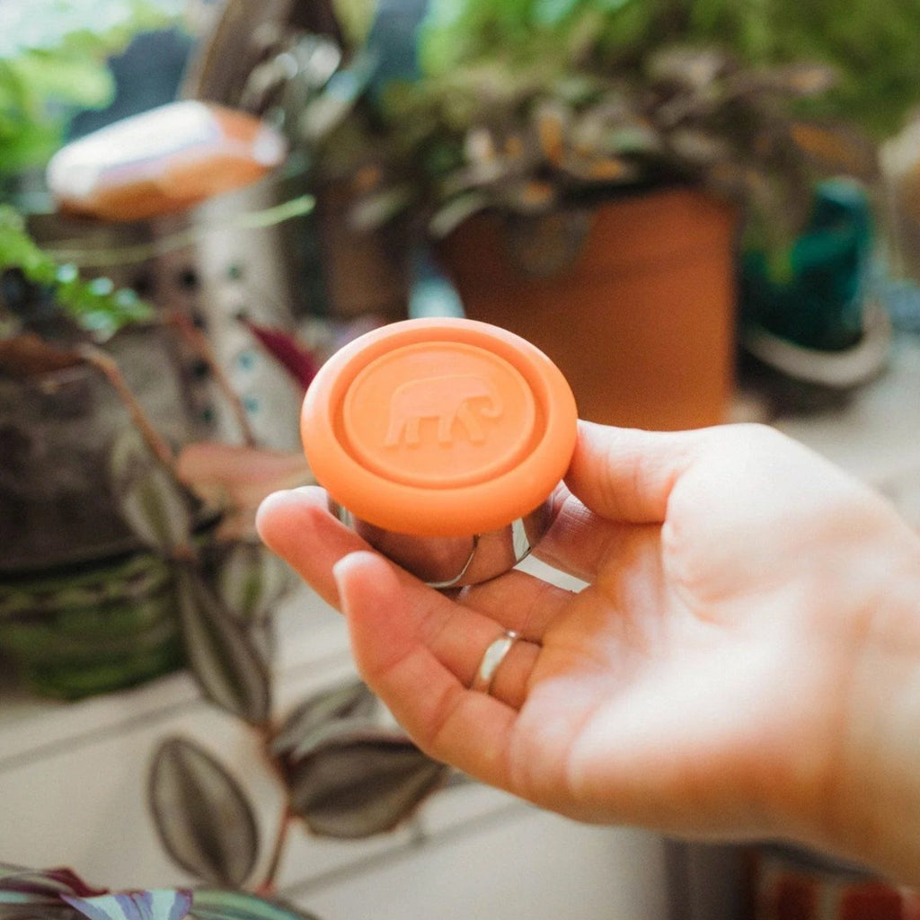  designed for storing salad dressings or small snacks.