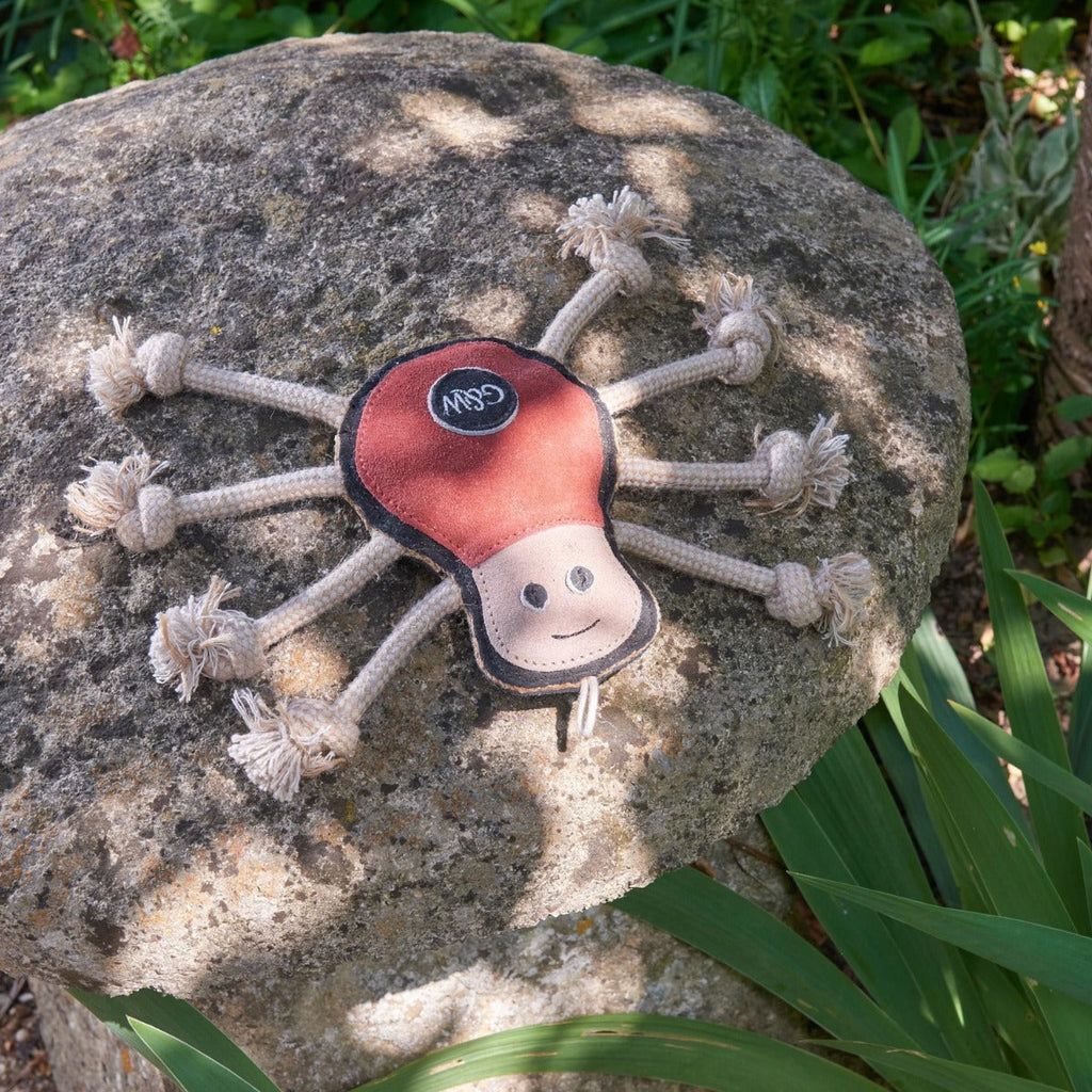  shaped like a spider with a happy face