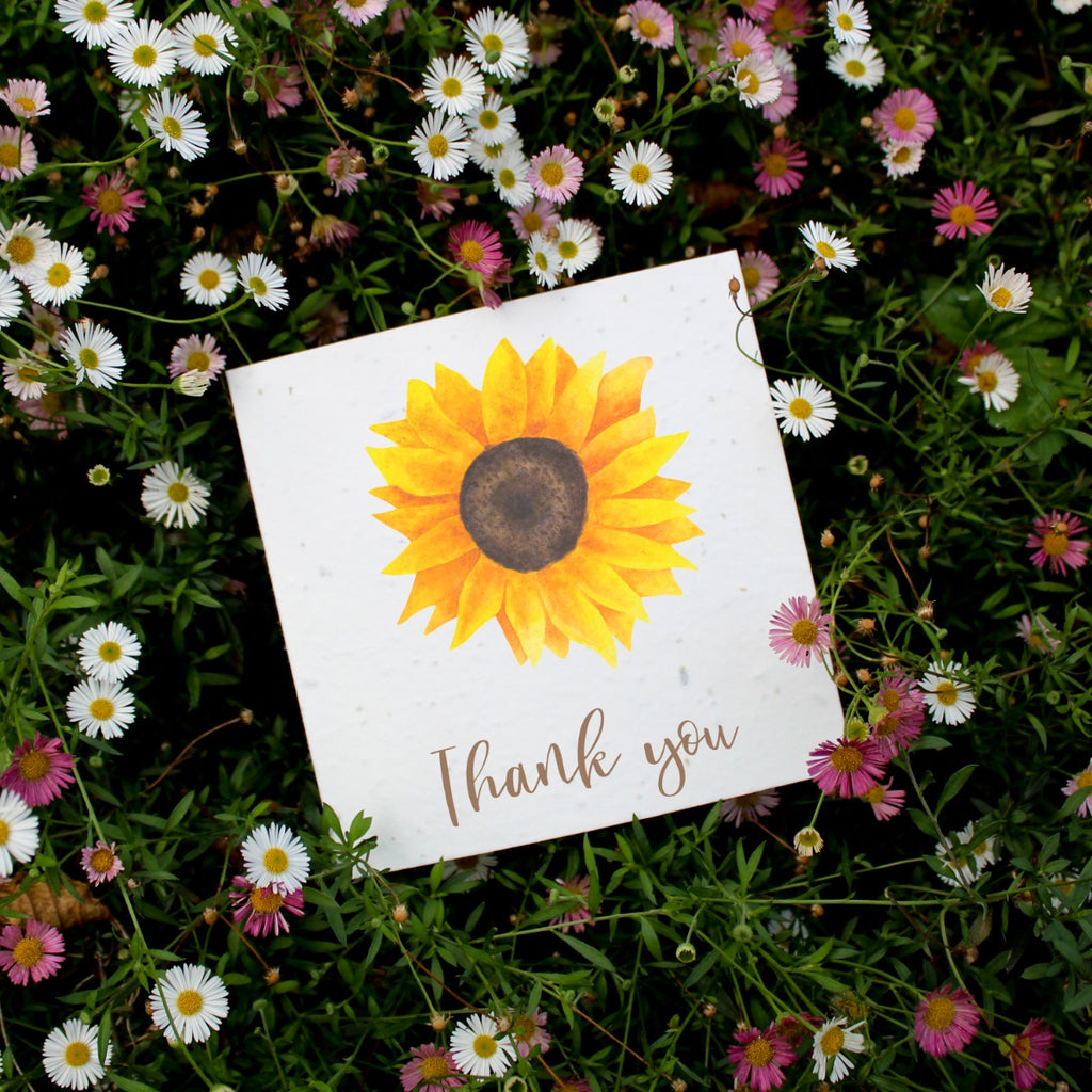 sunflower design thank you card made from seeded paper and contains colourful wildflower seeds.