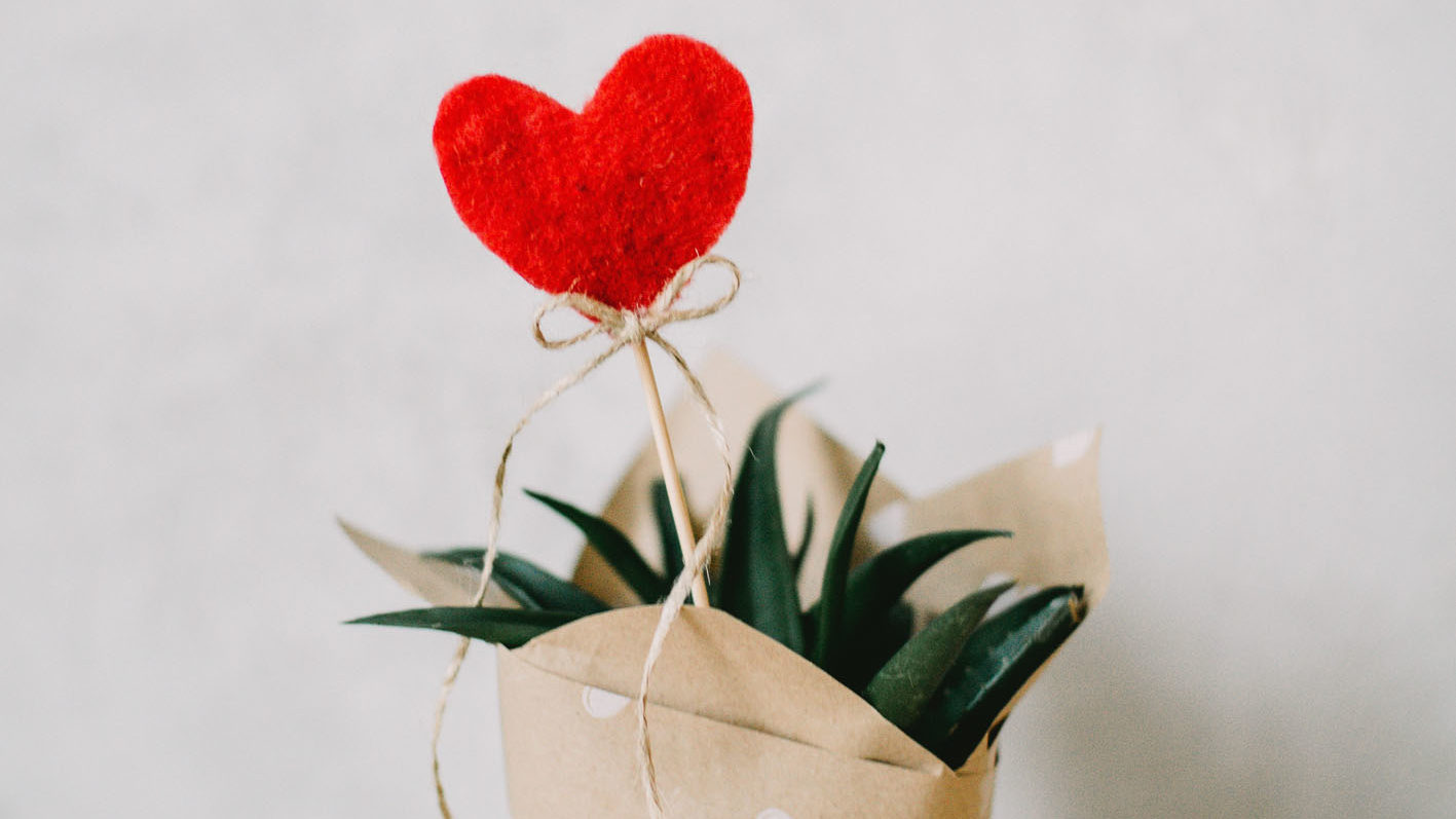 Top 5 Eco-Friendly Valentine's Ideas - How To Have A Sustainable Valentine's Day